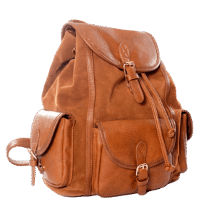 Journey Backpack