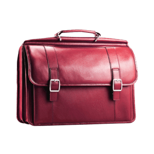 Veta Velvet Bag